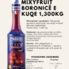 MIXYFRUIT BORONICË E KUQE 1,3KG (Coming soon) - Image 2